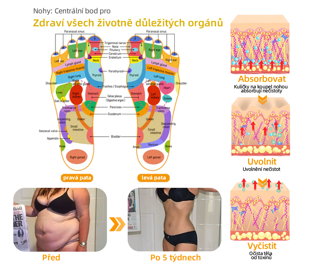 🔥💫 Poslední den na získání slevy 70 %: Aeehfeng®  Včelí jed a 30 bylinek pro detoxikaci nohou a korálky pro tvarování těla  - ✨Doporučeno Evropskou lymfatickou asociací (ELF) ✨🧀