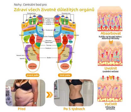 🔥💫 Poslední den na získání slevy 70 %: Aeehfeng®  Včelí jed a 30 bylinek pro detoxikaci nohou a korálky pro tvarování těla  - ✨Doporučeno Evropskou lymfatickou asociací (ELF) ✨🧀