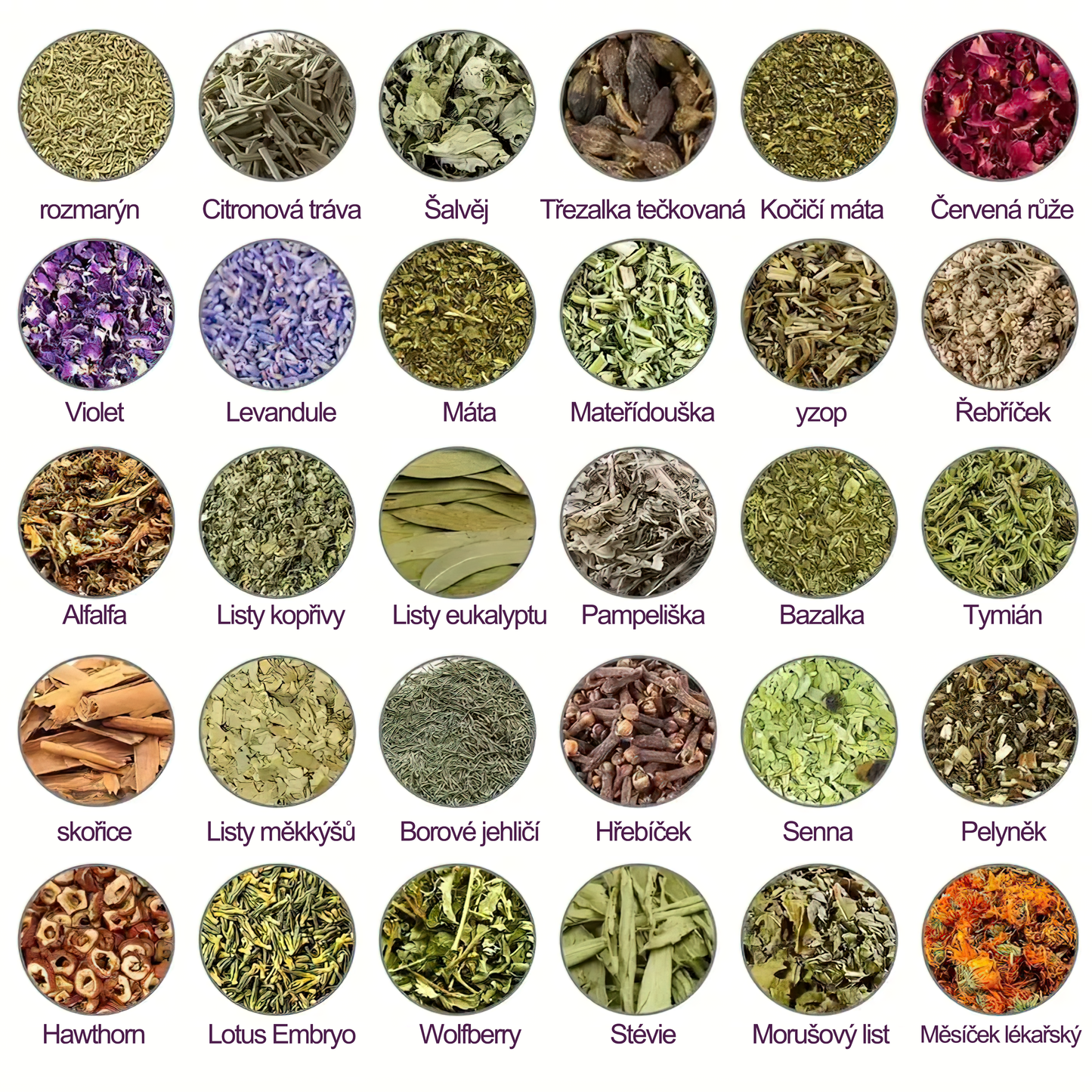 🔥💫 Poslední den na získání slevy 70 %: Aeehfeng®  Včelí jed a 30 bylinek pro detoxikaci nohou a korálky pro tvarování těla  - ✨Doporučeno Evropskou lymfatickou asociací (ELF) ✨🧀