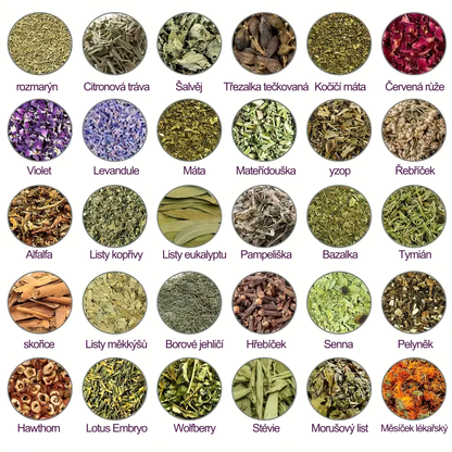 🔥💫 Poslední den na získání slevy 70 %: Aeehfeng®  Včelí jed a 30 bylinek pro detoxikaci nohou a korálky pro tvarování těla  - ✨Doporučeno Evropskou lymfatickou asociací (ELF) ✨🧀